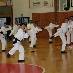 L'estate del kung-fu al "PalaMarchiselli"