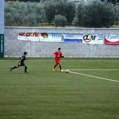 Barletta Calcio, la "Berretti" centra la sesta vittoria consecutiva
