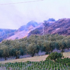 A fuoco Canne nel giorno della commemorazione della battaglia