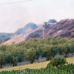 A fuoco Canne nel giorno della commemorazione della battaglia