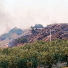 A fuoco Canne nel giorno della commemorazione della battaglia