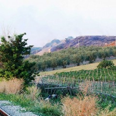 A fuoco Canne nel giorno della commemorazione della battaglia