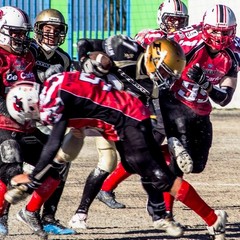 Patriots Bari-Mad Bulls Bt 20-0