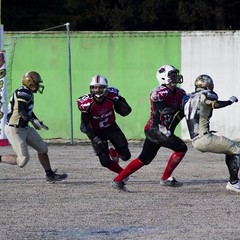 Patriots Bari-Mad Bulls Bt 20-0