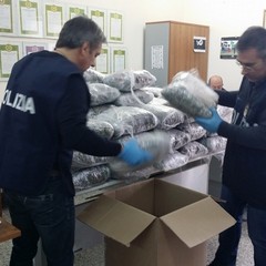 Sequestrati 150 kg di droga, arrestato un barlettano