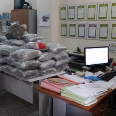 Sequestrati 150 kg di droga, arrestato un barlettano