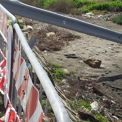 Alla fine del Pantaniello, un pezzo di spiaggia abbandonato