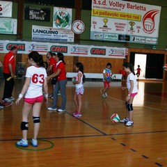 Reclutamento ASD Volley Barletta