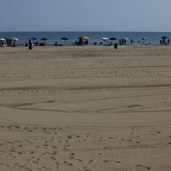 Spiagge Pulite 2013