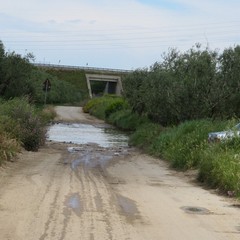 Allagamento in zona vicinale Tittadegna