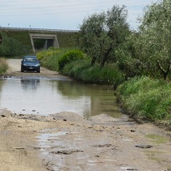 Allagamento in zona vicinale Tittadegna