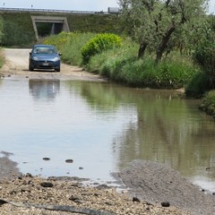 Allagamento in zona vicinale Tittadegna