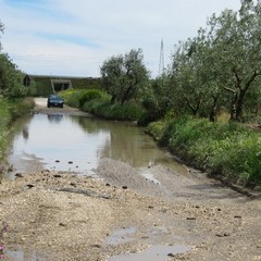 Allagamento in zona vicinale Tittadegna