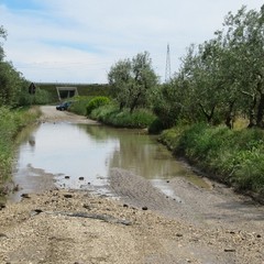 Allagamento in zona vicinale Tittadegna