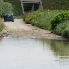 Allagamento in zona vicinale Tittadegna