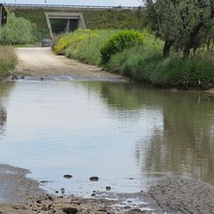 Allagamento in zona vicinale Tittadegna