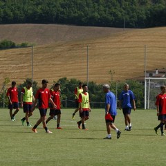 Filo diretto con Cascia 2.0, ripetute e tattica per il Barletta