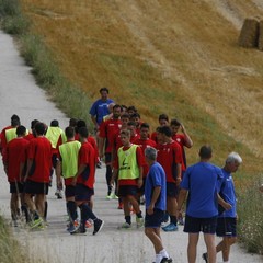 Filo diretto con Cascia 2.0, ripetute e tattica per il Barletta