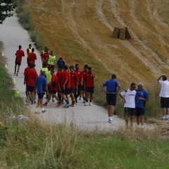 Filo diretto con Cascia 2.0, ripetute e tattica per il Barletta