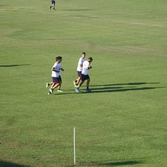 Barletta Calcio, primo allenamento al "Puttilli"