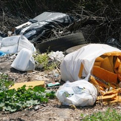 Complanare est B, vicino al Santuario vince l'immondizia