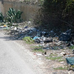 Complanare est B, vicino al Santuario vince l'immondizia