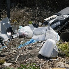 Complanare est B, vicino al Santuario vince l'immondizia