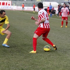 Barletta-Ischia 3-1