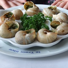 Cucina mondiale, undicesima puntata