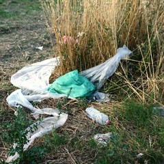 Fiumara, terra di sporcizia ed inciviltà