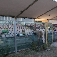 Stadion 192, Barletta va di corsa