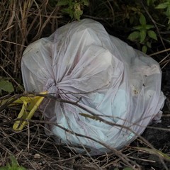 Via Vecchia Minervino, dove regnano l'indifferenza e l'indifferenziata