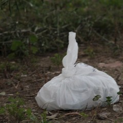 Via Vecchia Minervino, dove regnano l'indifferenza e l'indifferenziata