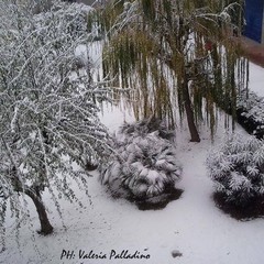 31 dicembre 2014, Barletta ancora innevata