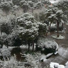 31 dicembre 2014, Barletta ancora innevata