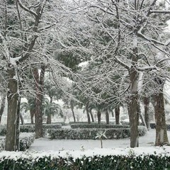 31 dicembre 2014, Barletta è sempre più innevata