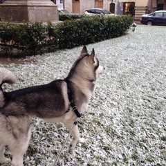 30 dicembre 2014, scende la neve su Barletta