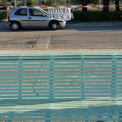 Panchine riverniciate sul lungomare di Ponente