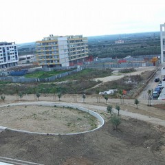 Parco dell'Umanità in costruzione. I primi alberi