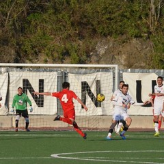 savoia barletta 10 copia