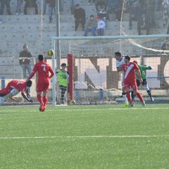 savoia barletta 6 copia