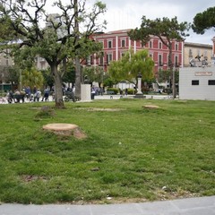 Alberi tagliati presso i giardini De Nittis e Castello