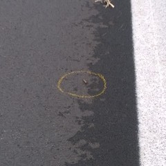 Assalto ad un furgone portavalori dopo l'uscita di Canne della Battaglia