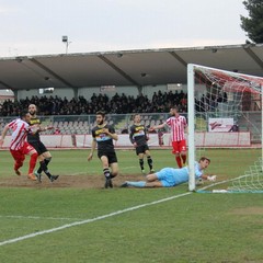 Calcio, Barletta-Lupa Roma 0-2