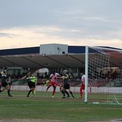 Calcio, Barletta-Lupa Roma 0-2