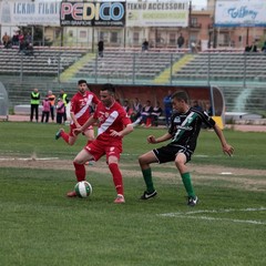 barletta vigor lamezia 3 3 12