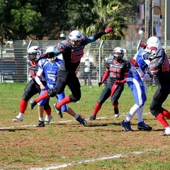 bucks brindisi mad bulls 0 44 6