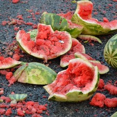 Camion ribaltato sull'A14