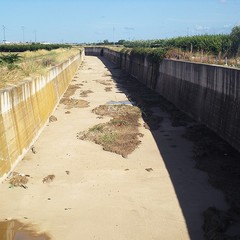 Dopo la pioggia il canale è pulito, ma l'inquinamento resta