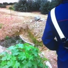 I Carabinieri scoprono rifiuti pericolosi interrati nell'orto botanico